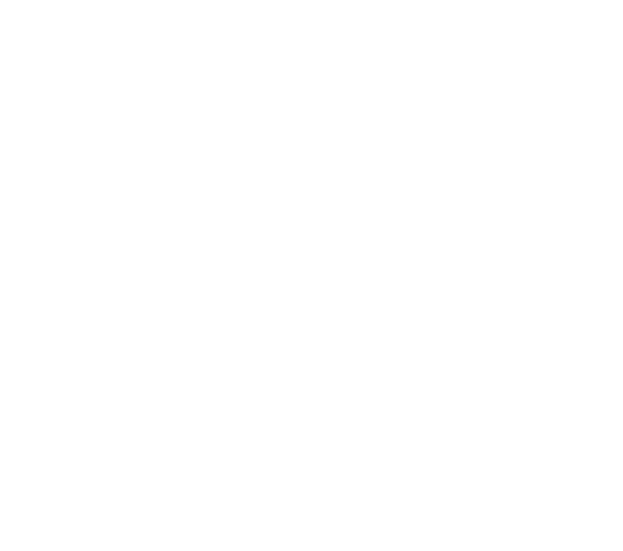 SG Anora